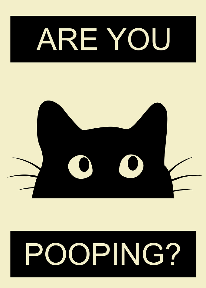 Are You Pooping