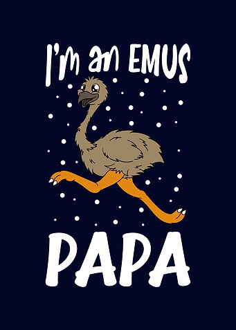 Funny Emu Bird