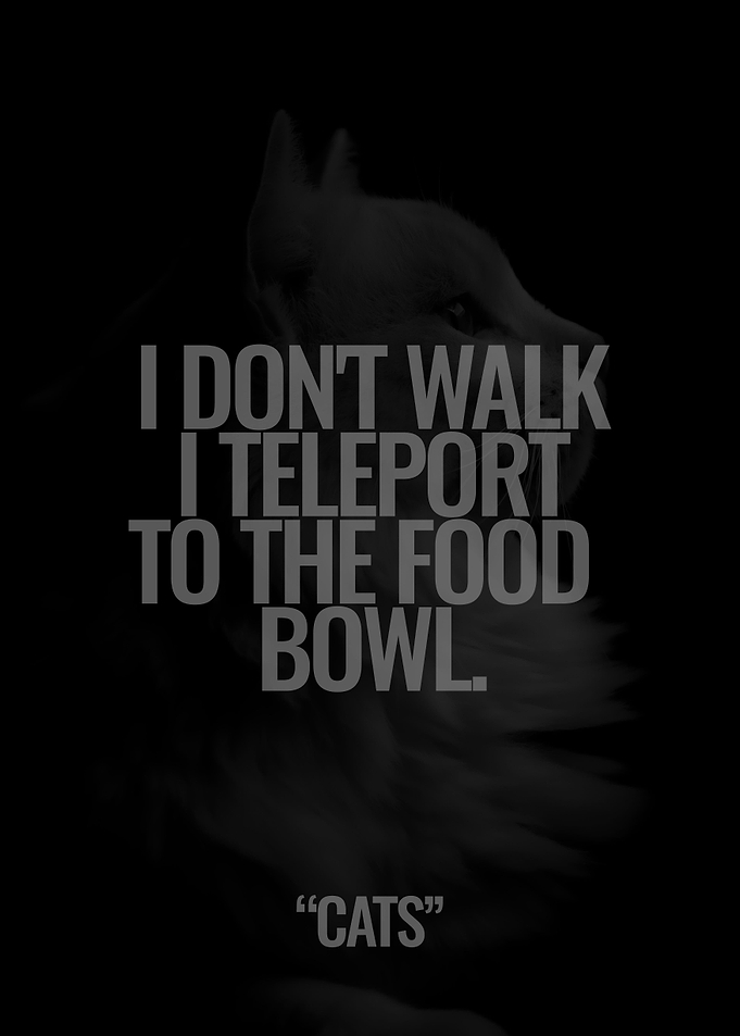 Quotes about Cats