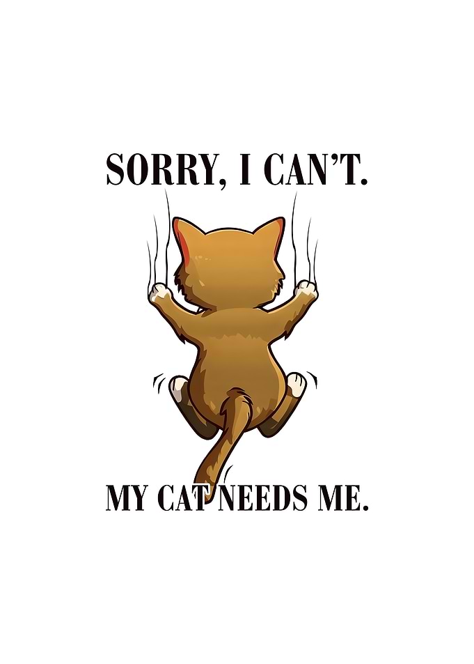 My cat need Me Funny Cats