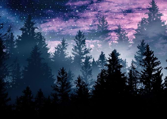 Forest Galaxy Dream 1