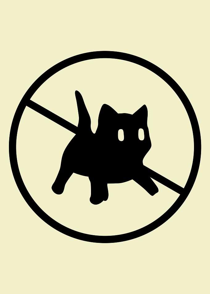 Kittens Prohibited