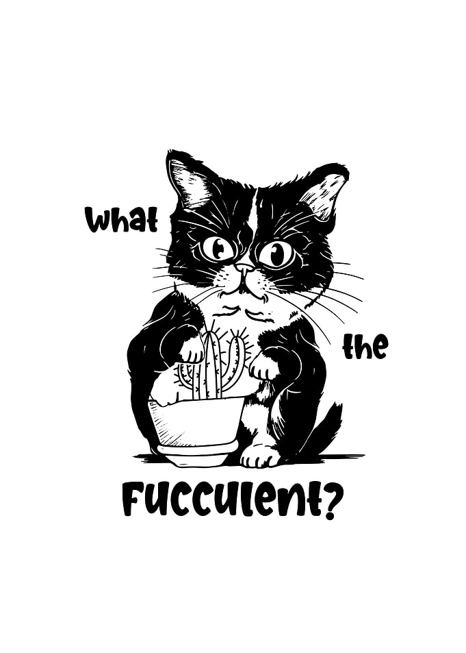 Funny black Cat Quote