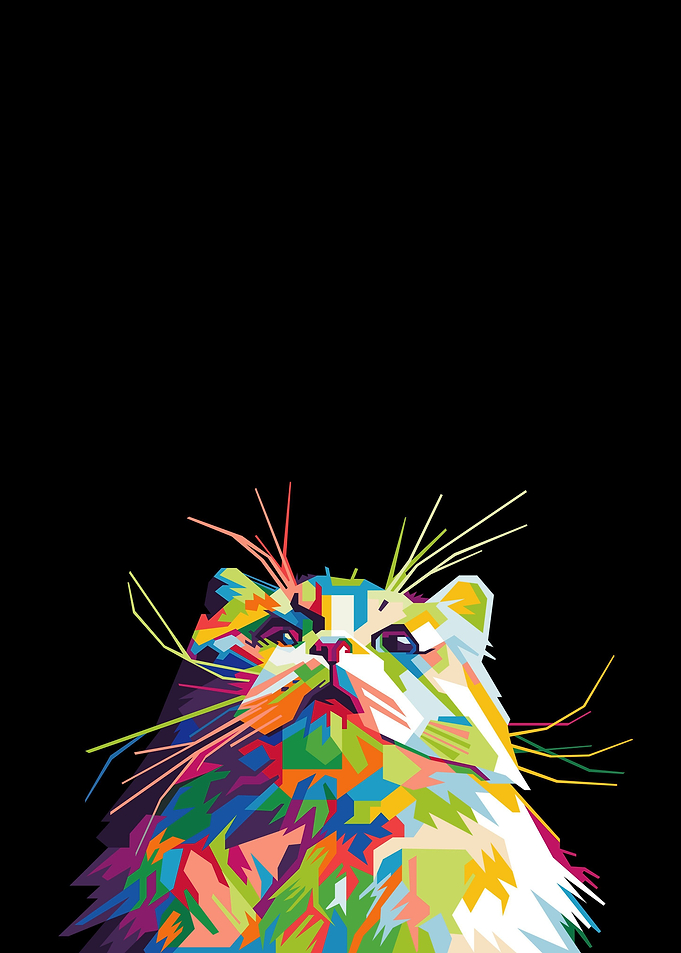 Animal Cute Cats
