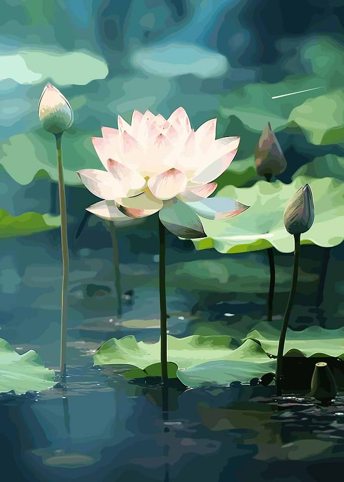 Beautiful Lotus Flower