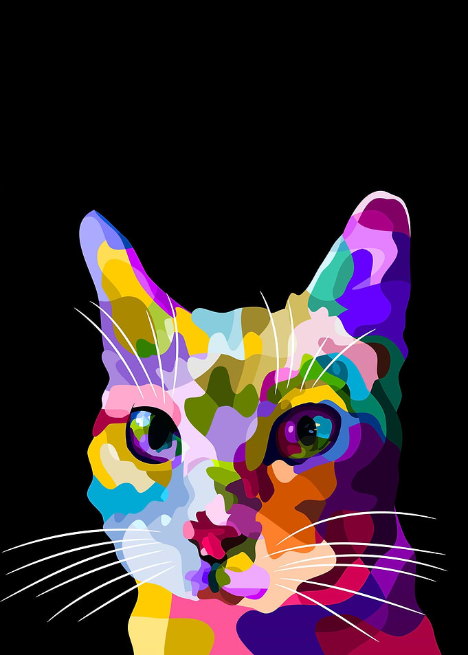 Animal Cat