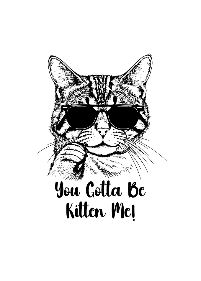 Kitten me Funny Cat Quote
