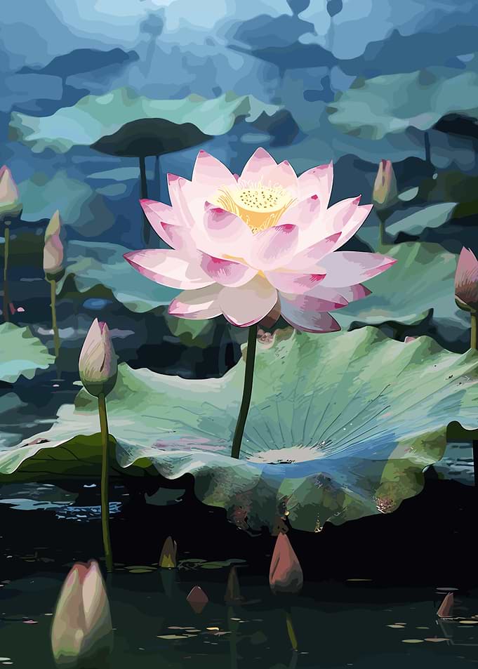 Beautiful Lotus Flower