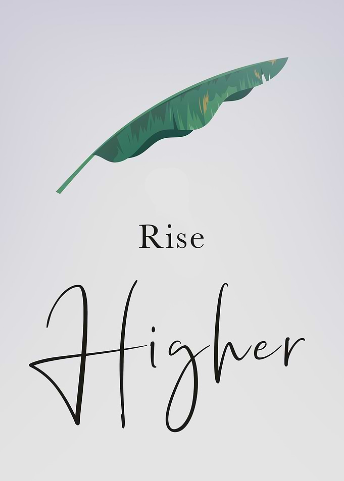 Rise Higher