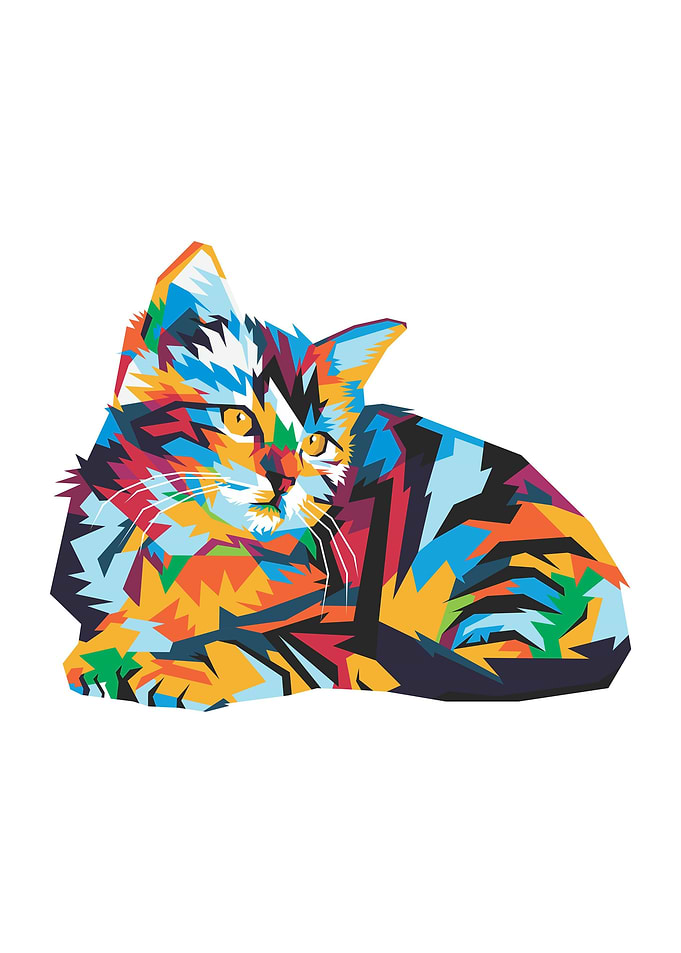 Animal Cats Sleepy