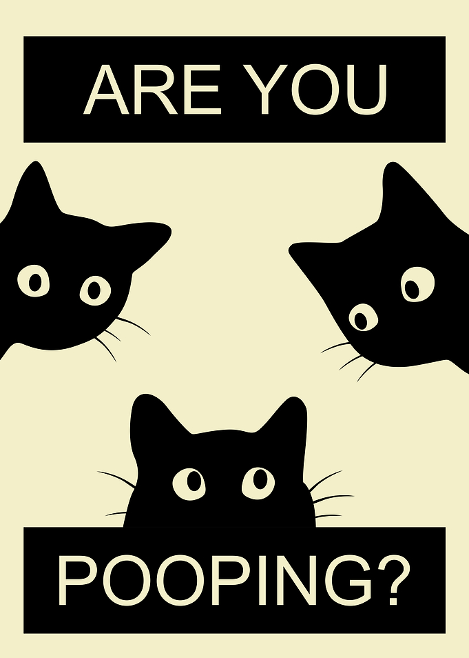 Are You Pooping2