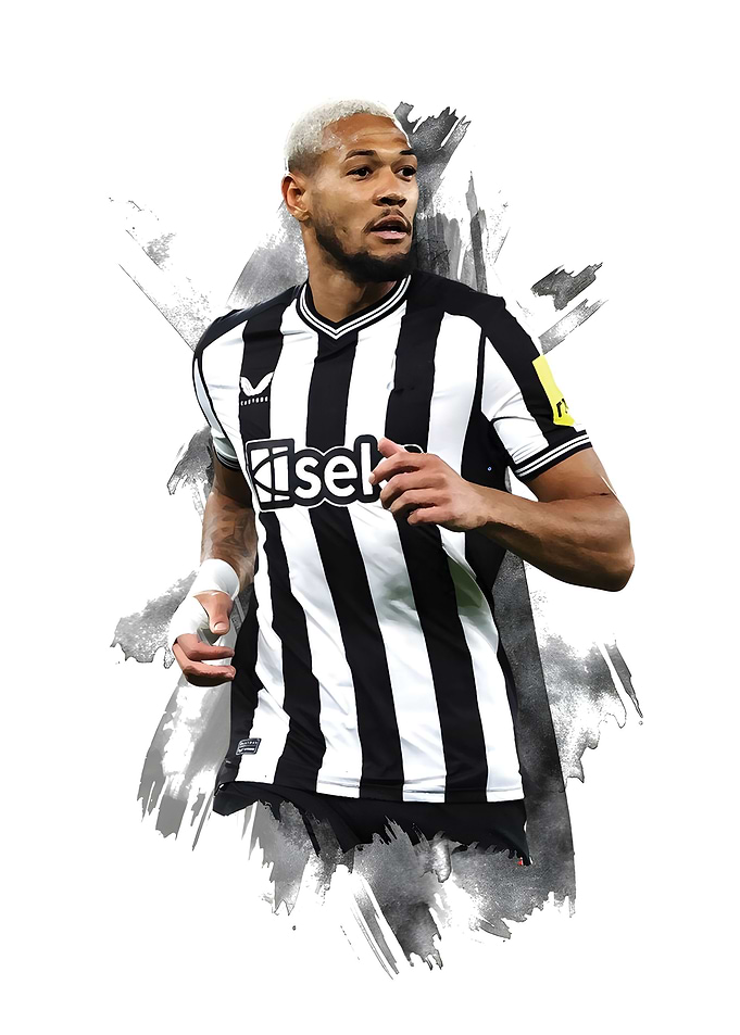 Joelinton Portrait