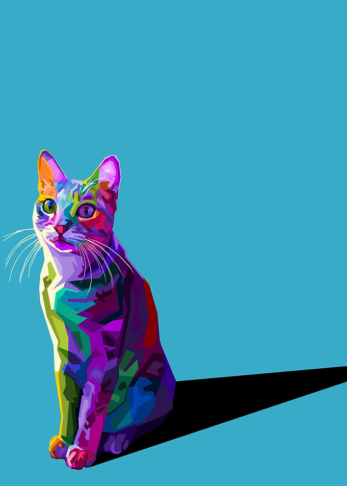 Animals Cat