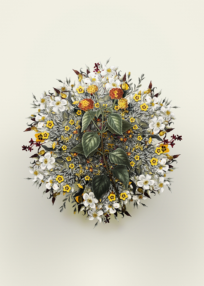 Tickberry Flower Wreath