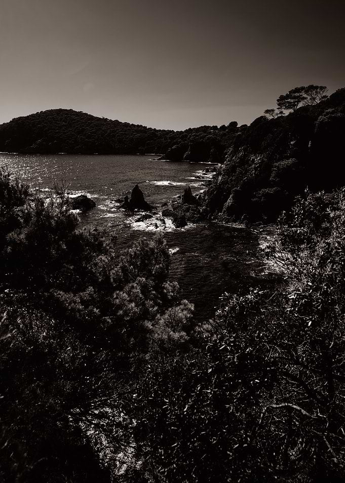 Coastal beauty in sepia