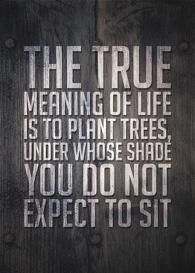 The true meaning of life