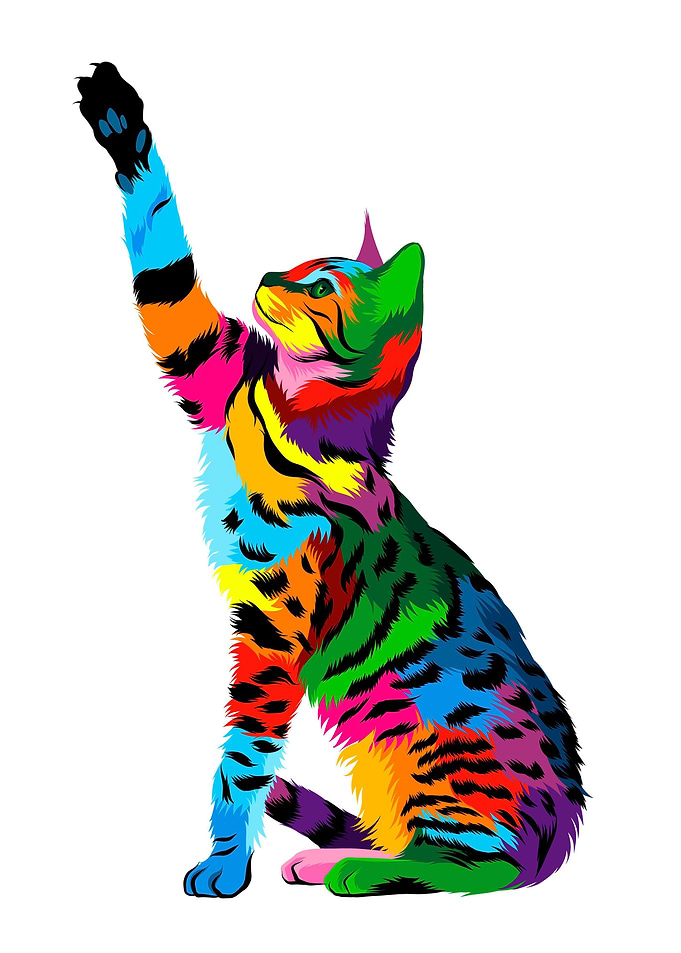 Animal Bengal Cat