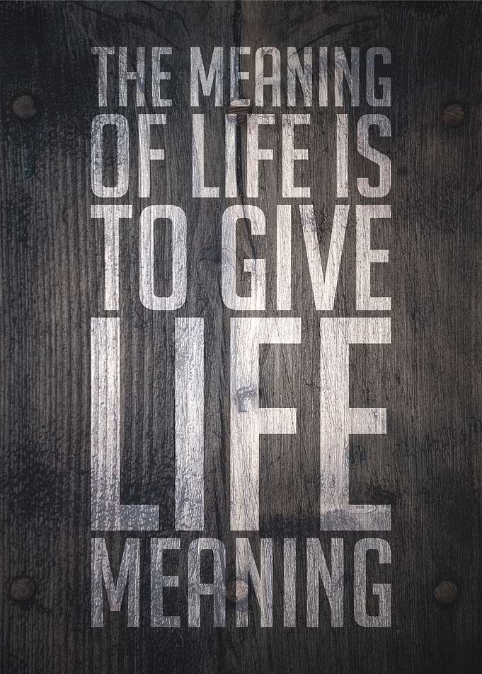 The meaning of life is to