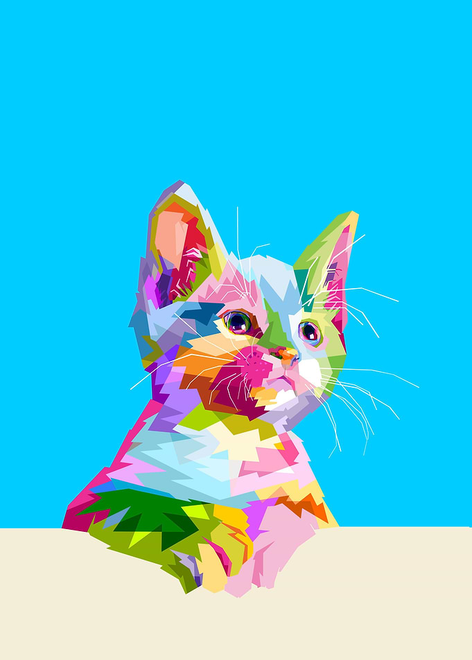 Animal Cute Kitten