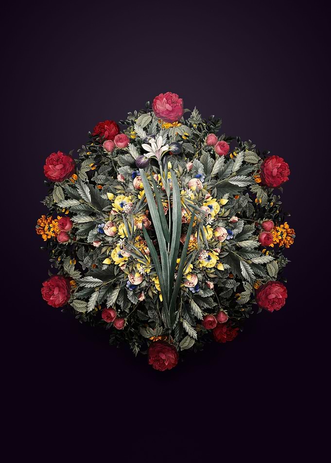 Harlequin Blueflag Wreath