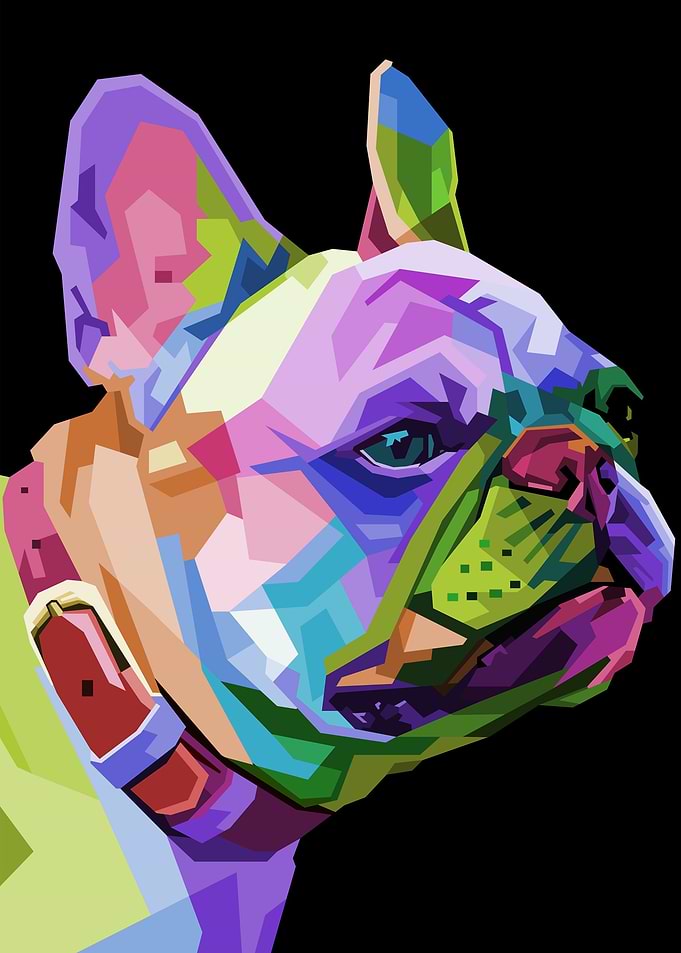 Animal French Bulldog