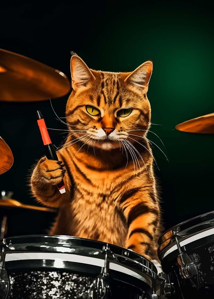 Cat Drummer