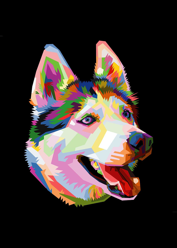 Animal Huskies Dog