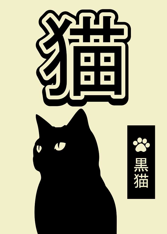 Kuro Neko
