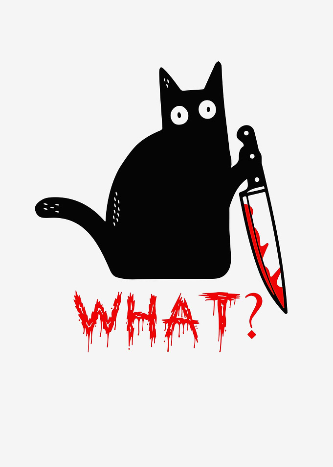 Black cat what