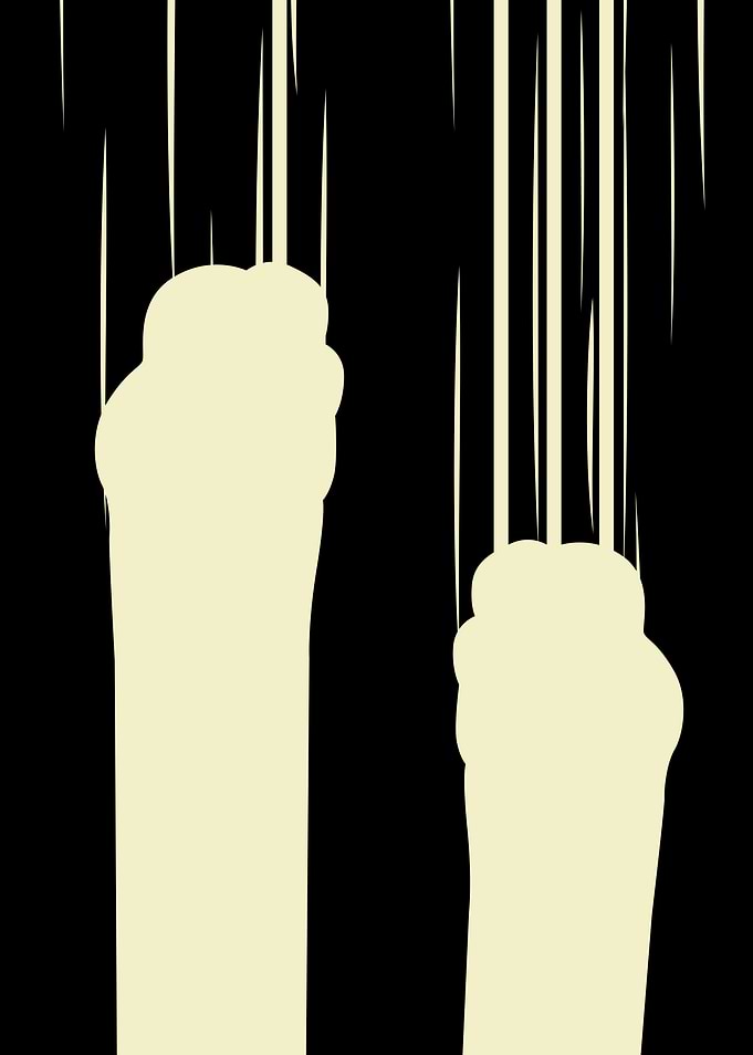 Cat Scratching Claws