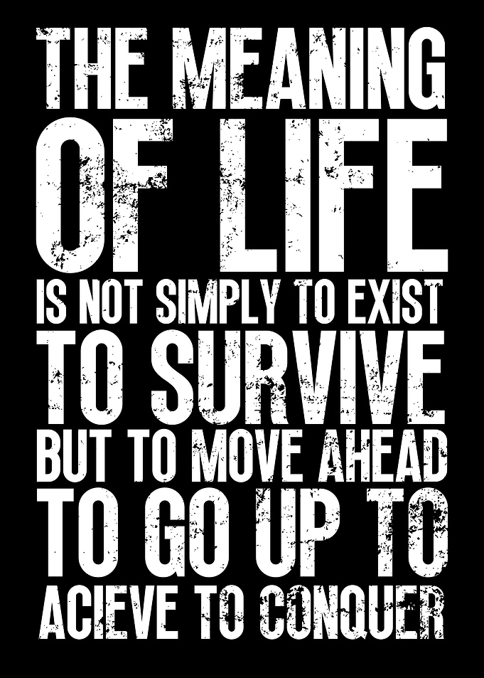 Meaning Of Life To Conquer