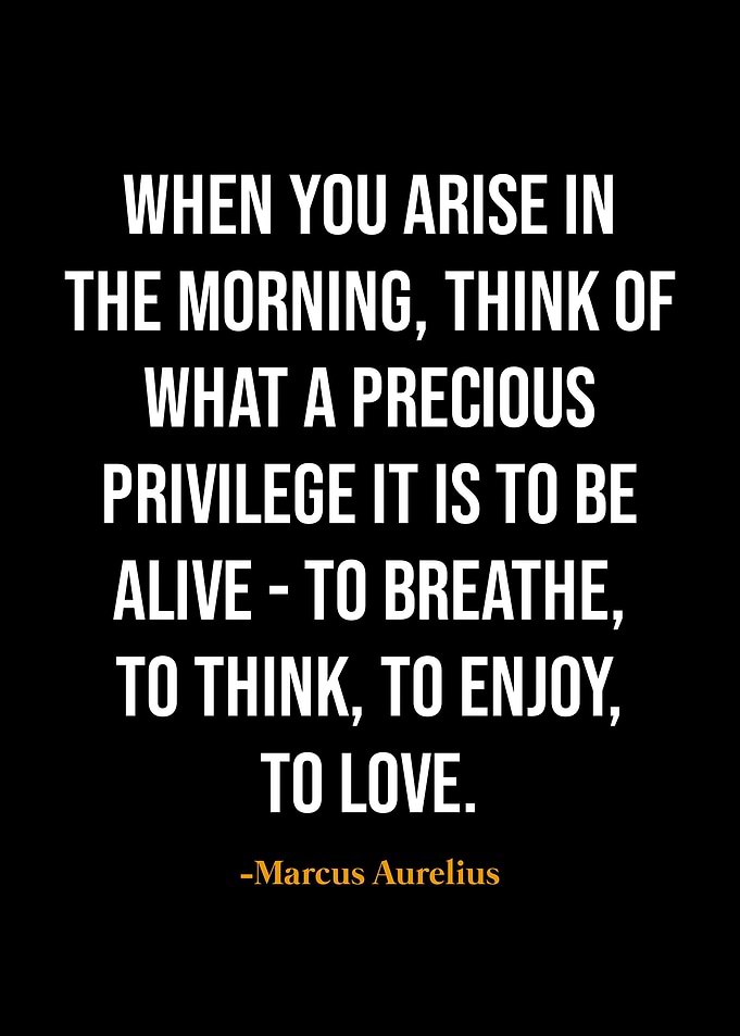 Marcus Aurelius quotes