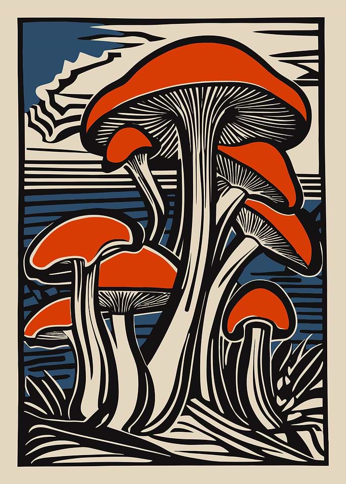 Retro Mushrooms Poster