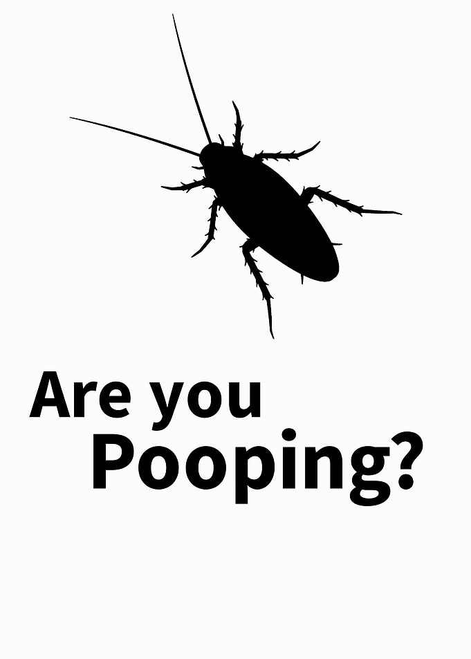 cockroach