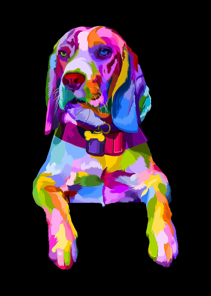 Animal Beagle Dog