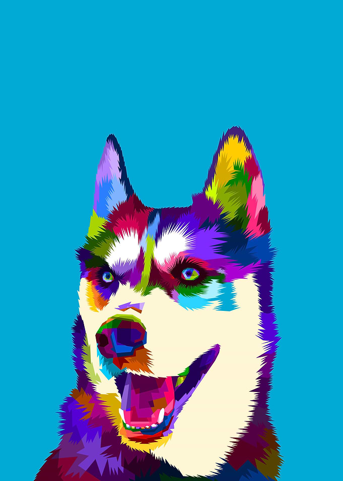 Animal Husky