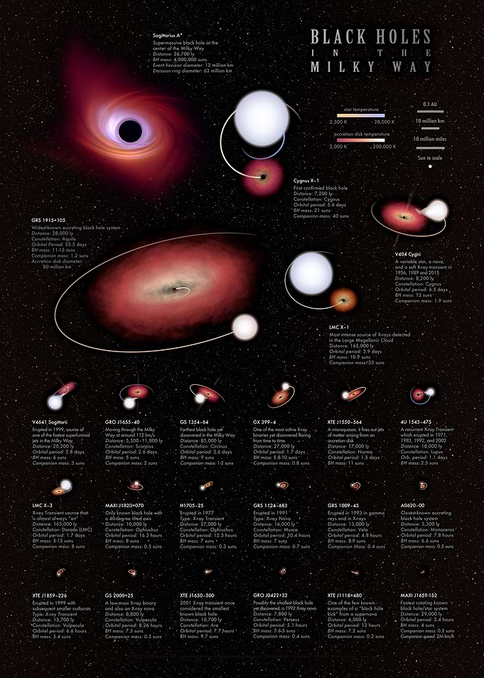 Black Holes in our Galaxy