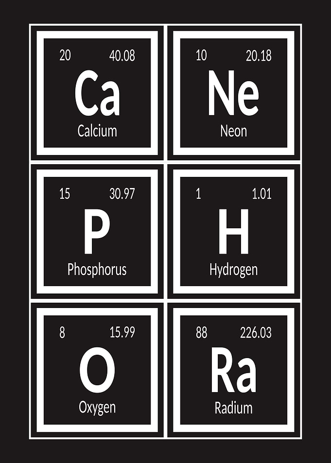 Element of Canephora