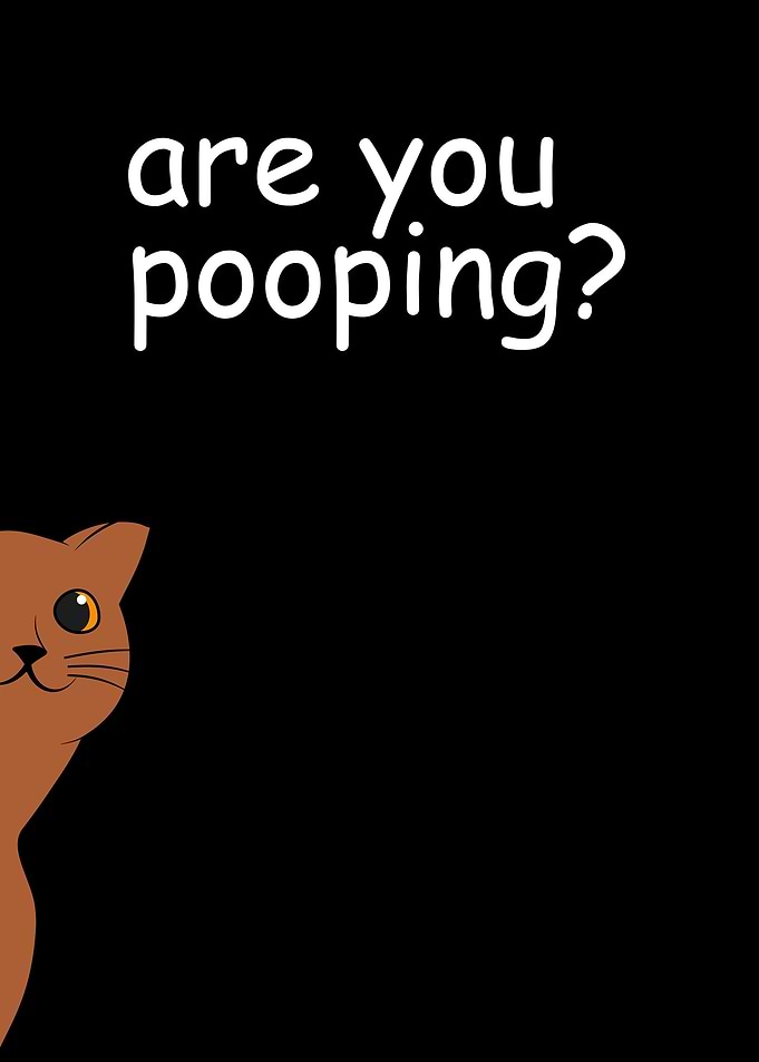 Orange Cat Are You Pooping