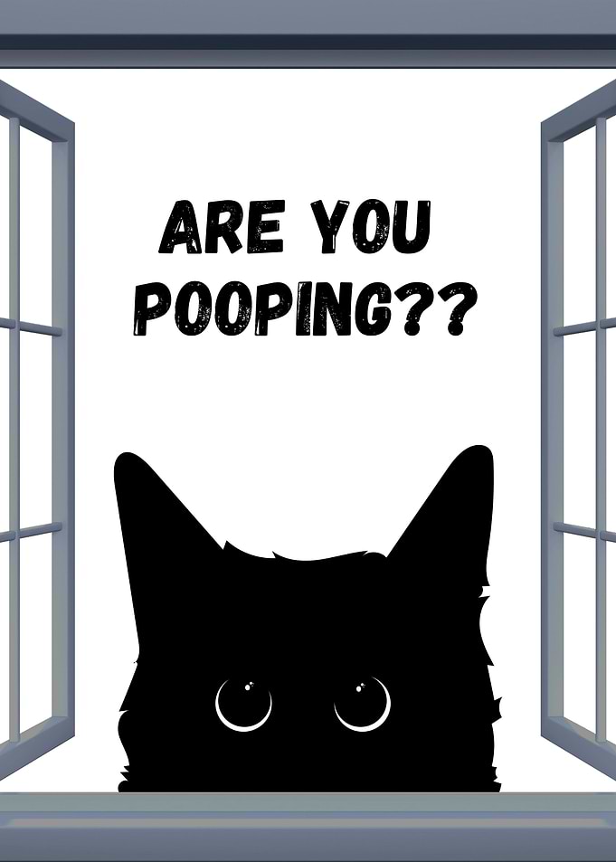 BLACK CAT ARE YOU POOPING