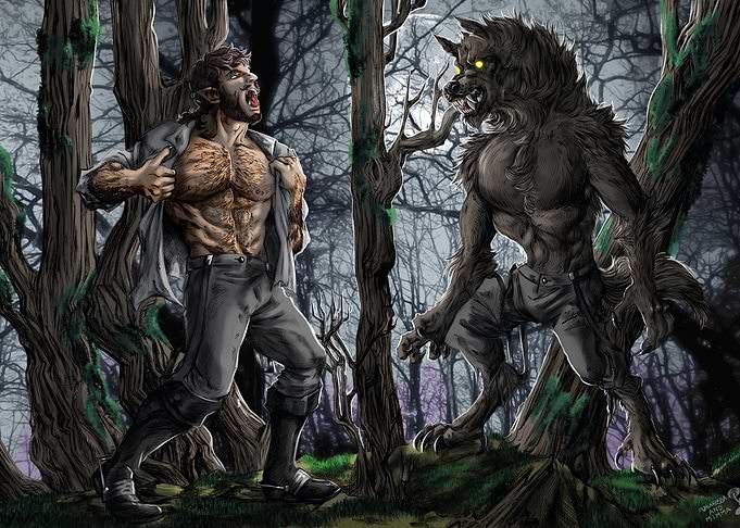 In the Forest