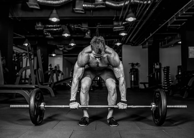 bodybuilding