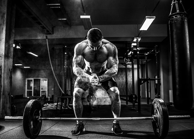 bodybuilding