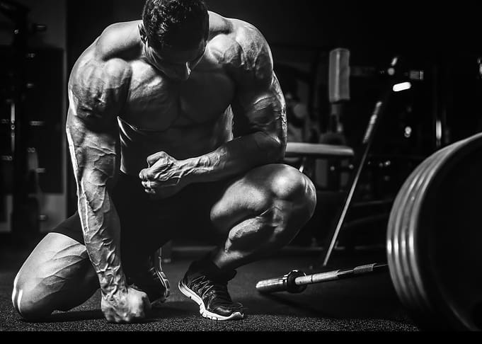 bodybuilding