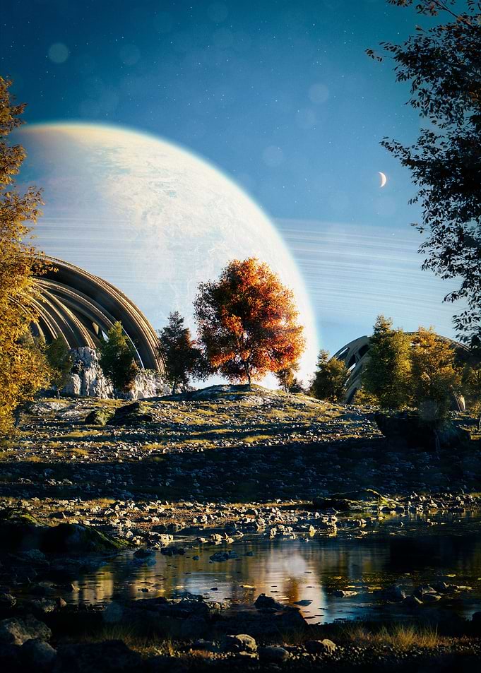 The Colony