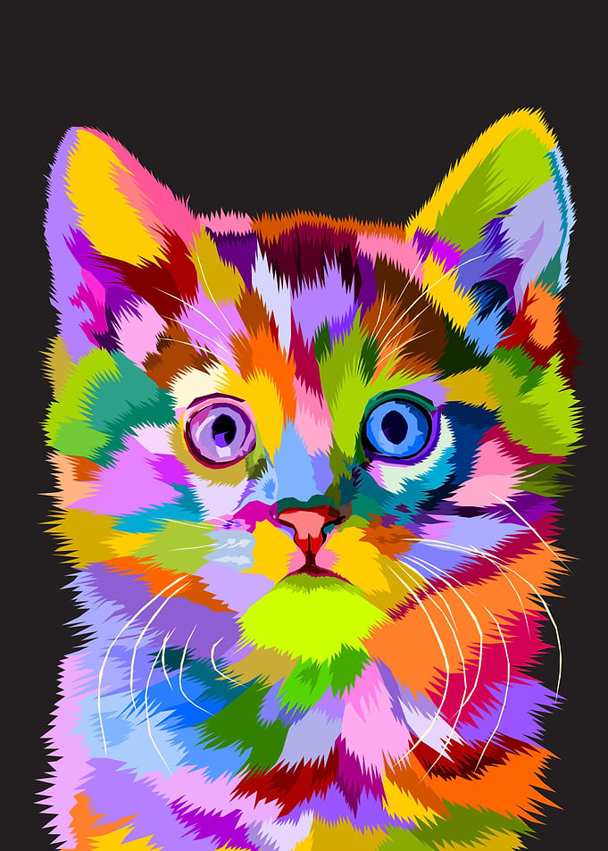 Animal Lovely Cat