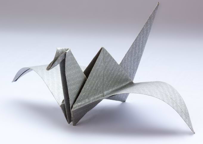 Bird Art