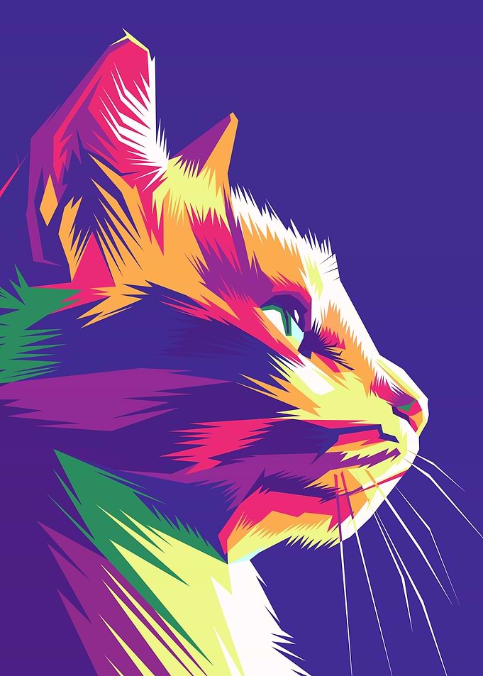 Animal Cute Cat