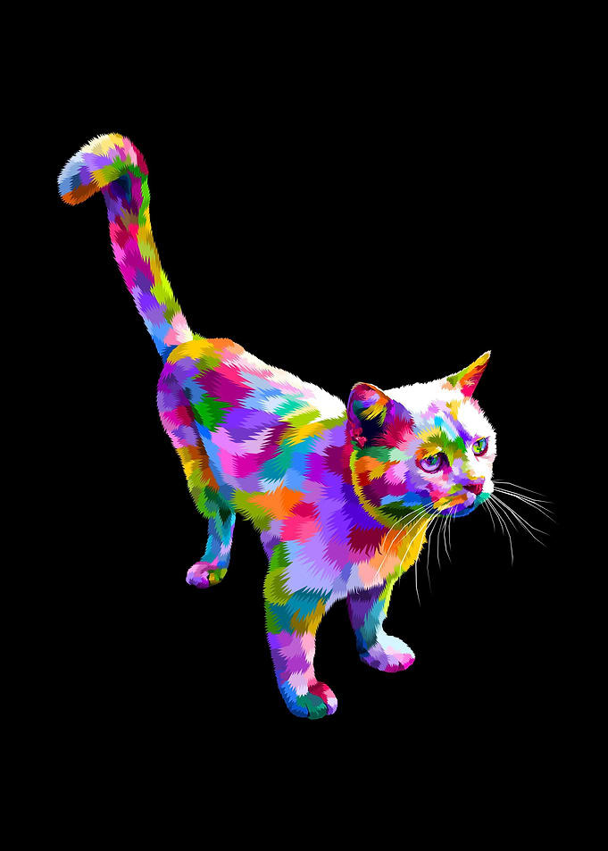 Animal Cute Cat
