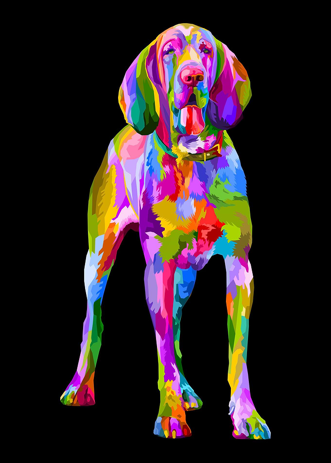 Animal Cute Dog